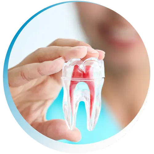 Jamil Dentista. Especialista em Implantes e Próteses Dentárias Jamil Dentista. Especialista em Implantes e Próteses Dentárias